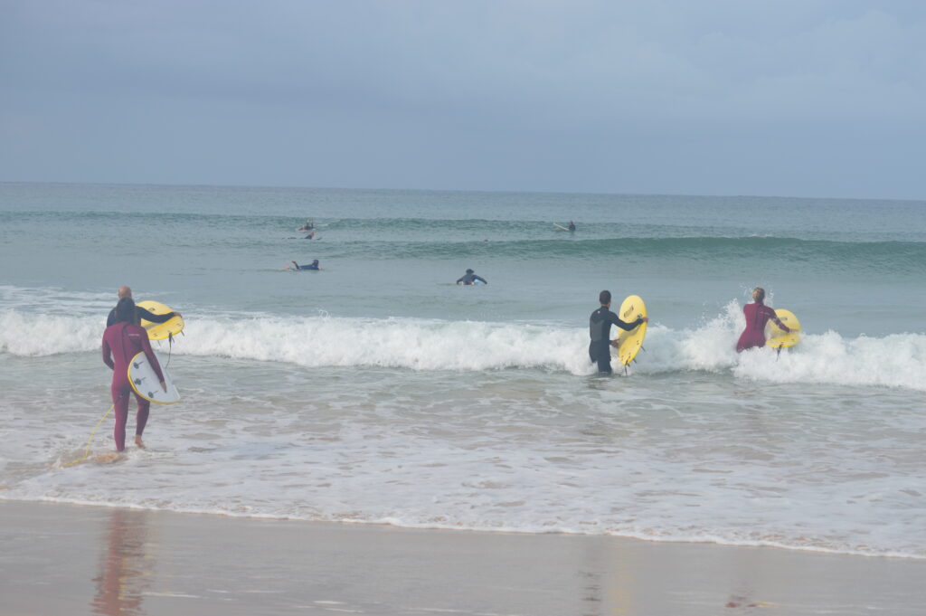 pettirosso_surf_school_portogallo (1)