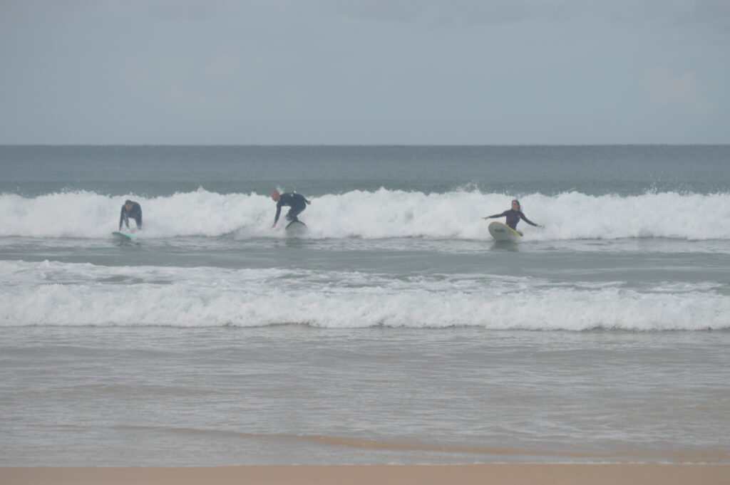 pettirosso_surf_school_portogallo (2)