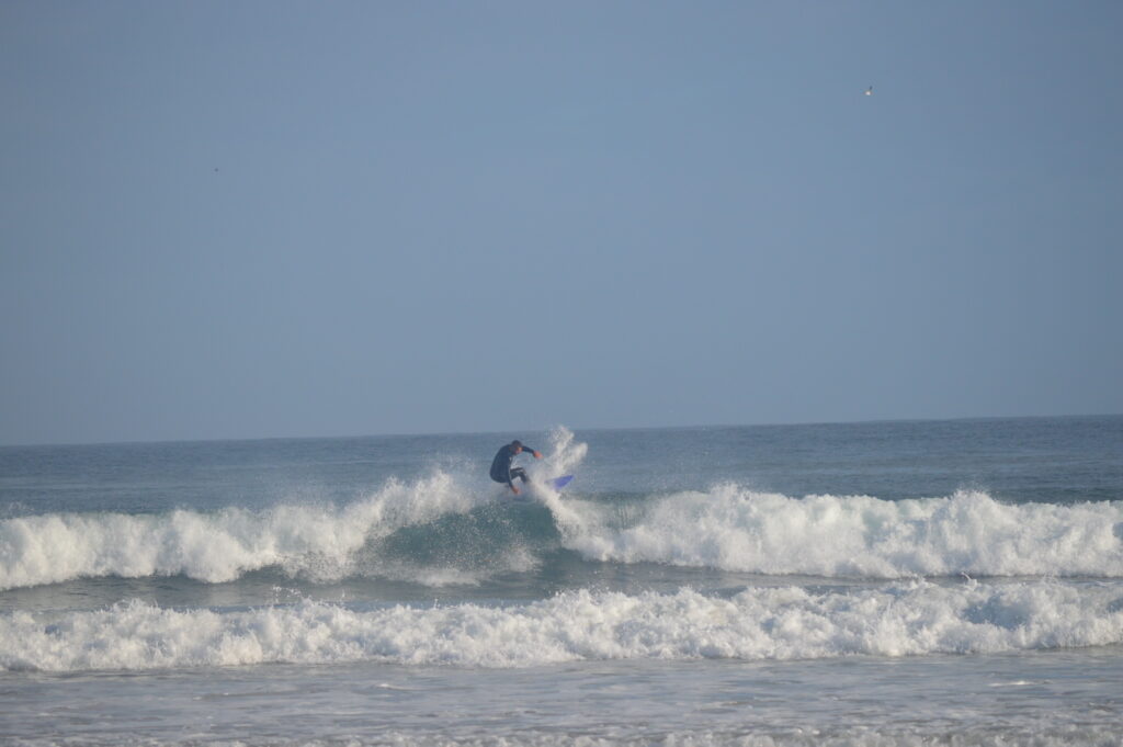 pettirosso_surf_school_portogallo (5)