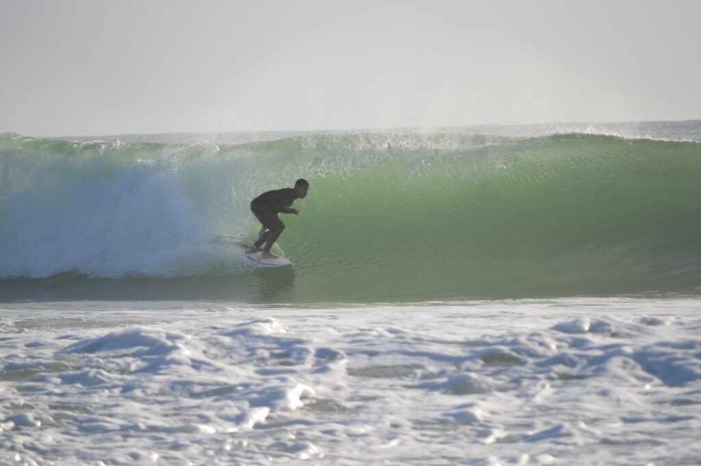 pettirosso_surf_school_portogallo (8)